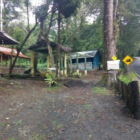 Ijen Mansjestic B&B Tamansuruh Exterior foto