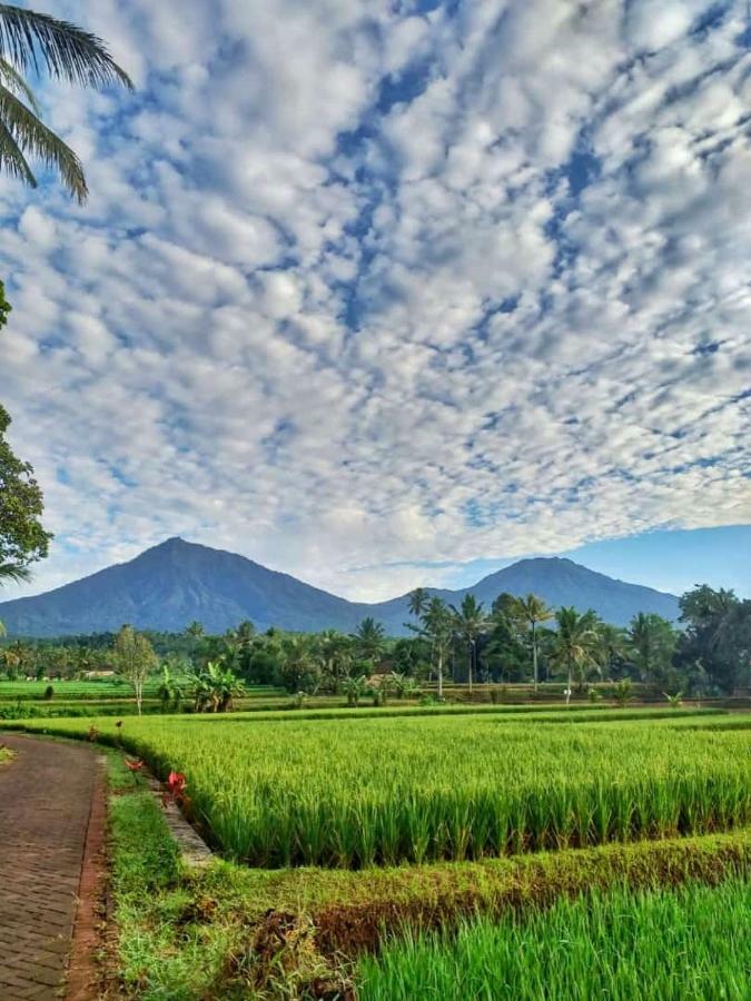 Ijen Mansjestic B&B Tamansuruh Exterior foto